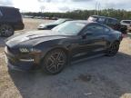 2019 FORD MUSTANG - 1FA6P8TH6K5177945
