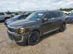 2021 KIA TELLURIDE - 5XYP54HC7MG134672