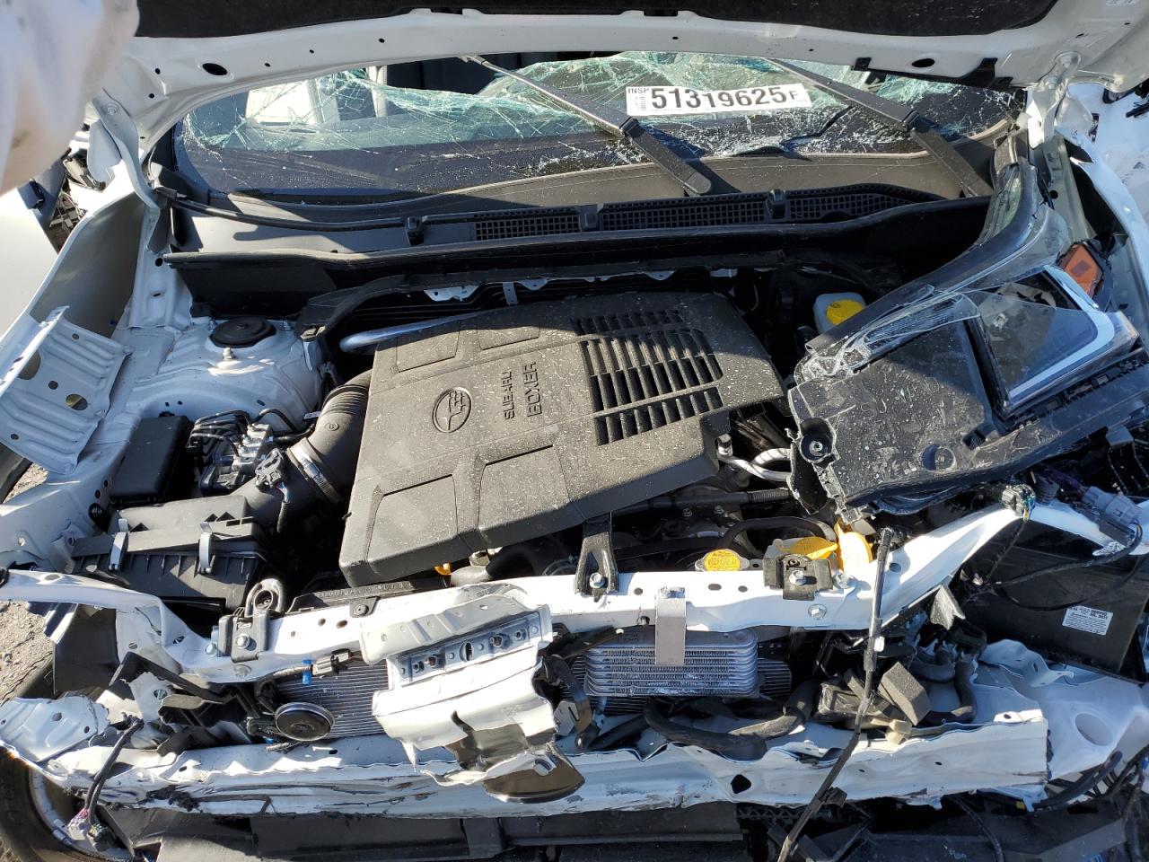 SUBARU FORESTER WILDERNESS