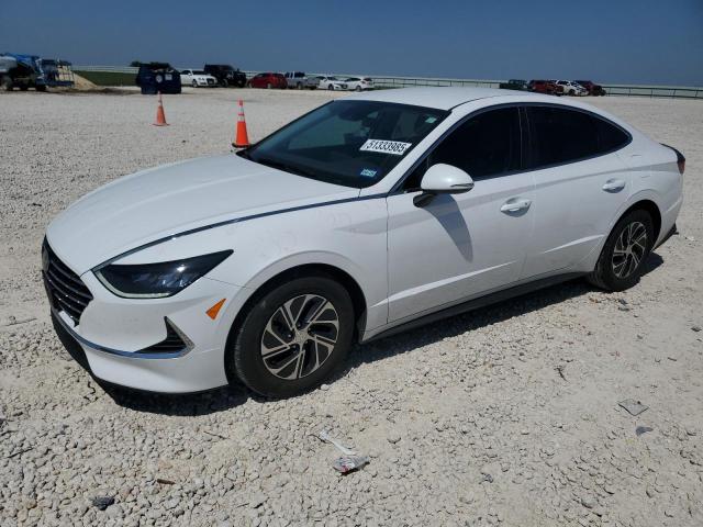HYUNDAI SONATA HYBRID