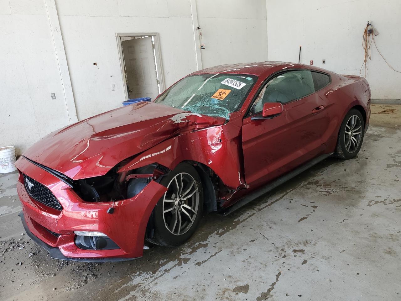 FORD MUSTANG