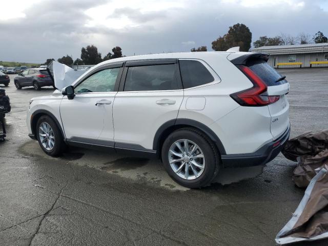 Vin: 5j6rs3h72rl007798, lot: 51017205, honda crv exl 20242