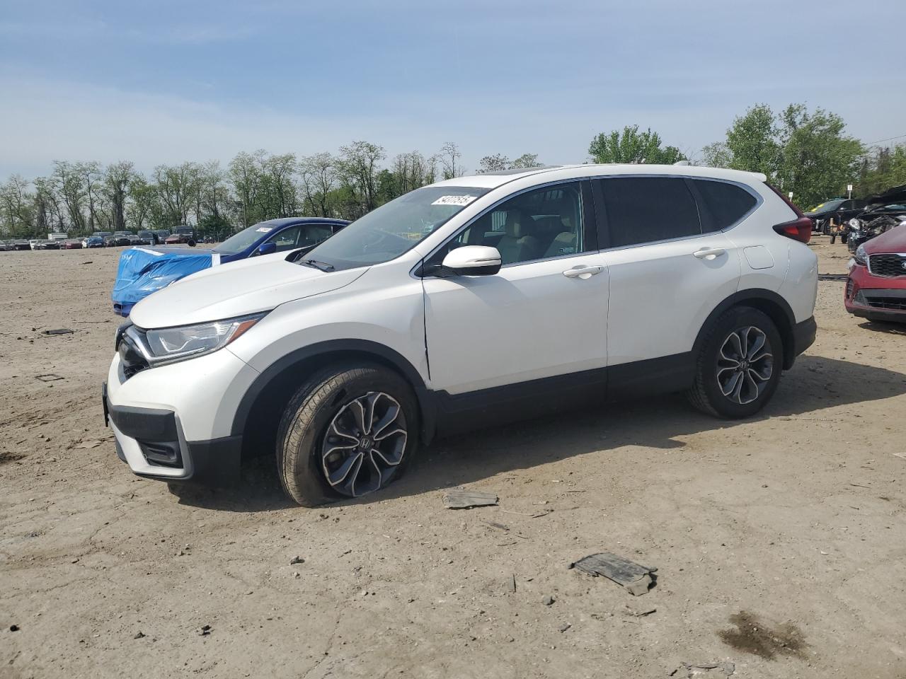 HONDA CR-V EX