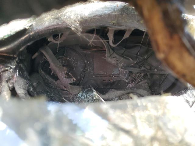 2018 KIA SORENTO LX - 5XYPGDA30JG349942