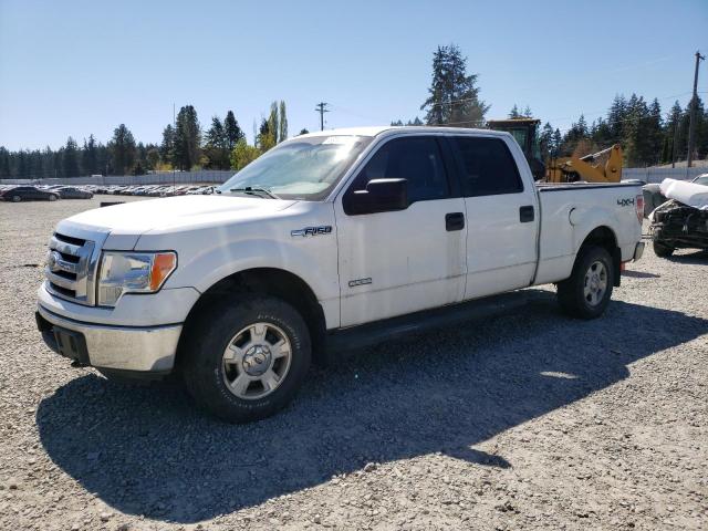 Vin: 1ftfw1et9bfb86252, lot: 53589625, ford f-150 supercrew 2011 img_1