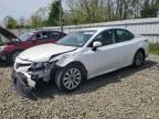 Top Destinations for Shipping Cars from the USA