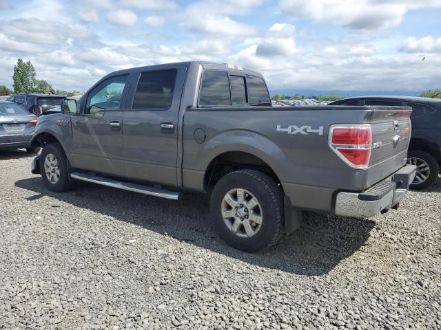 Vin: 1ftfw1ef6dfc13176, lot: 54921795, ford f-150 supercrew 20132