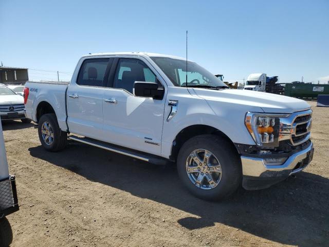 Vin: 1ftfw1ed5pfd28970, lot: 54374115, ford f-150 supercrew 20234