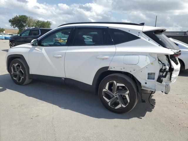 Vin: 5nmje3ae8ph229246, lot: 52562535, hyundai tucson limited 20232