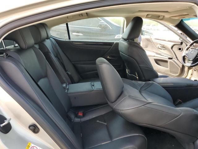 2019 LEXUS ES 350 - 58ABZ1B16KU005228