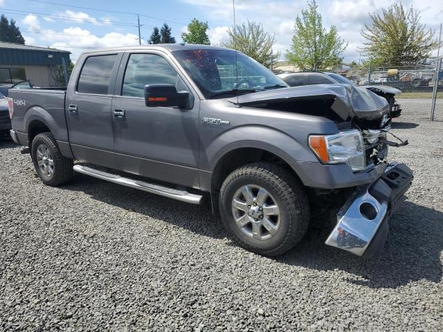 Vin: 1ftfw1ef6dfc13176, lot: 54921795, ford f-150 supercrew 20134