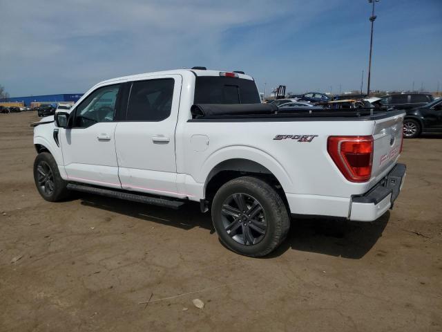 Vin: 1ftew1ep0pfa36665, lot: 53359175, ford f-150 supercrew 20232