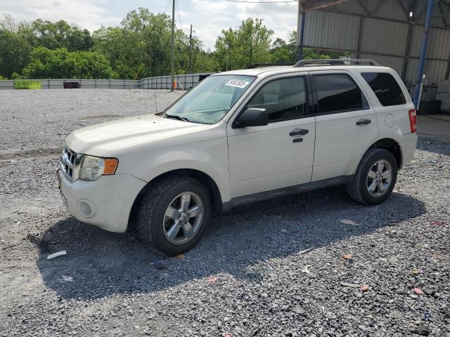 Vin: 1fmcu0dg7bka47361, lot: 54923935, ford escape xlt 2011 img_1