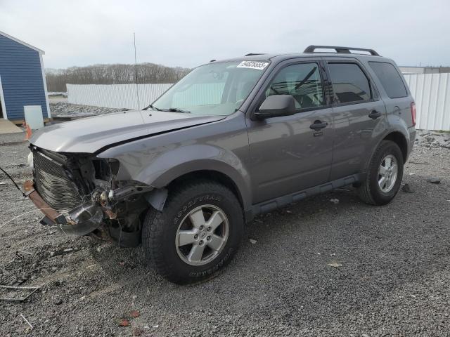 Vin: 1fmcu9d72akb29176, lot: 54825555, ford escape xlt 2010 img_1