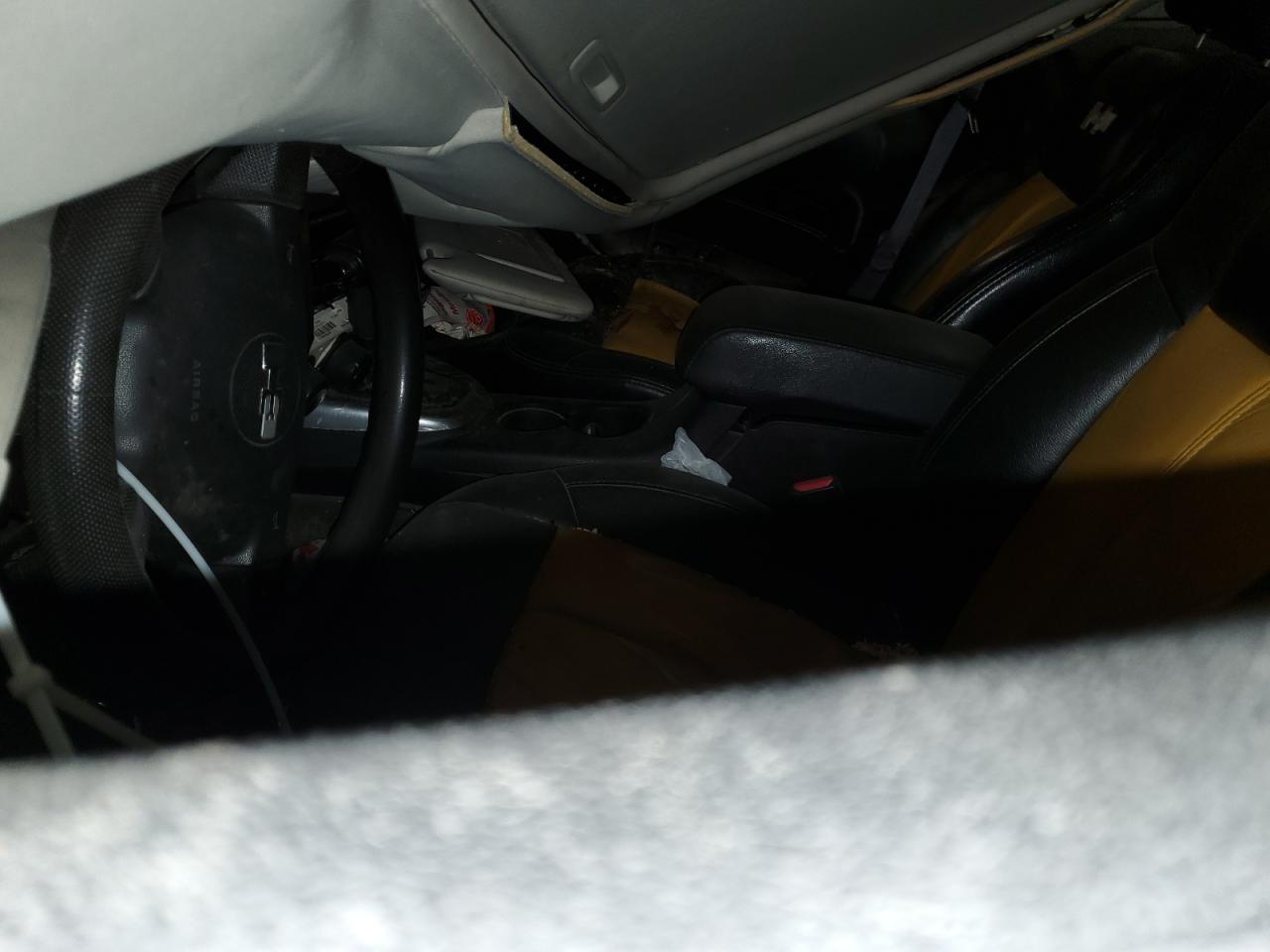 Thumbnail 7 (blur)