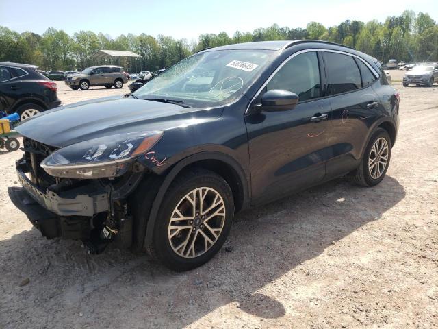 Vin: 1fmcu9h61nua29257, lot: 53556645, ford escape sel 2022 img_1