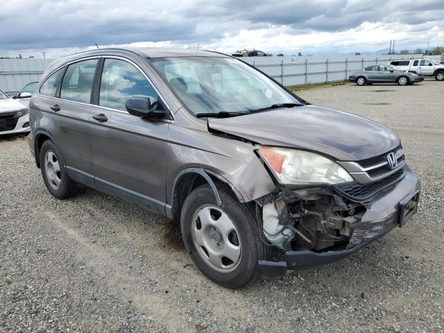 Vin: 5j6re3h35al045406, lot: 51978935, honda crv lx 20104