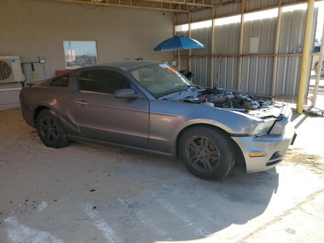 2013 FORD MUSTANG - 1ZVBP8AM1D5275371
