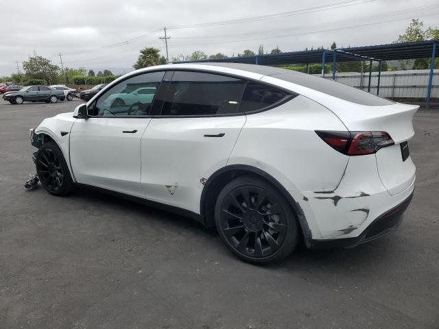 2023 TESLA MODEL Y - 7SAYGDEEXPF744472