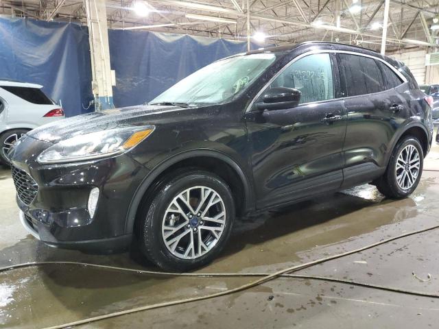 FORD ESCAPE SEL