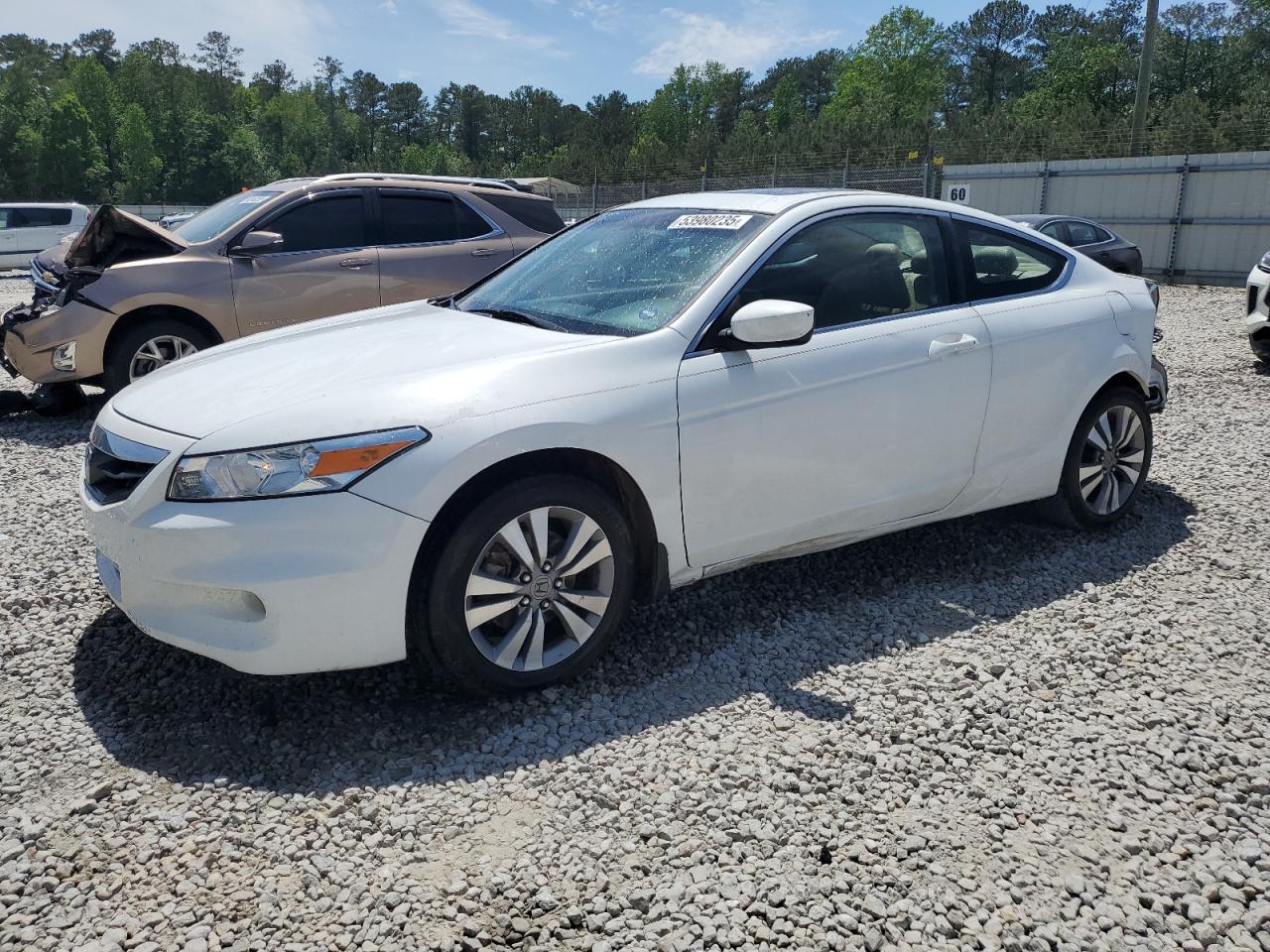 HONDA ACCORD EXL