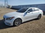 Top Destinations for Shipping Cars from the USA