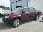 HONDA RIDGELINE RT