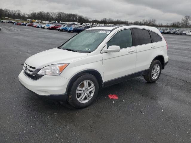 Vin: 5j6re4h73bl064546, lot: 51660945, honda crv exl 2011 img_1