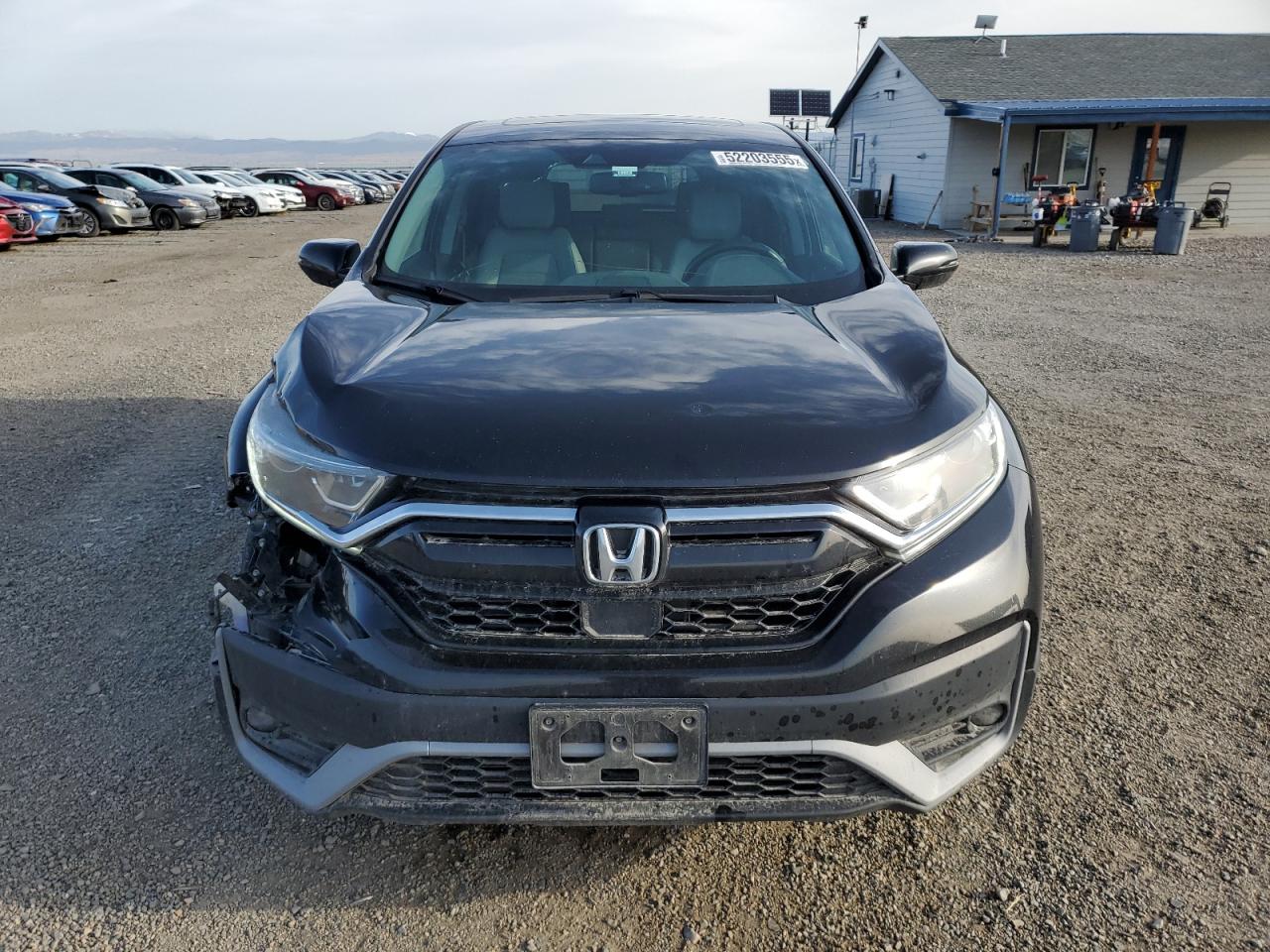 Lot #3212604294 2020 HONDA CR-V SE