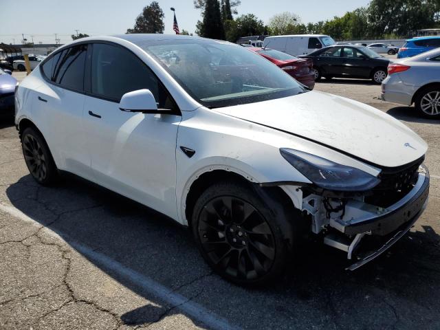 Vin: 7saygdee0rf169236, lot: 50495155, tesla model y 20244