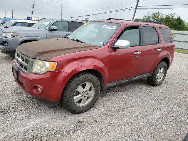 Vin: 1fmcu0dg1akd46200, lot: 51603405, ford escape xlt 2010 img_1