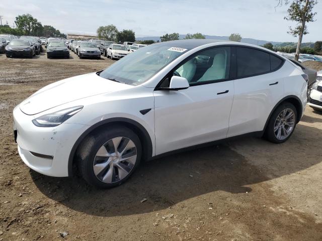 Vin: 7saygdee3pf815088, lot: 54849895, tesla model y 2023 img_1