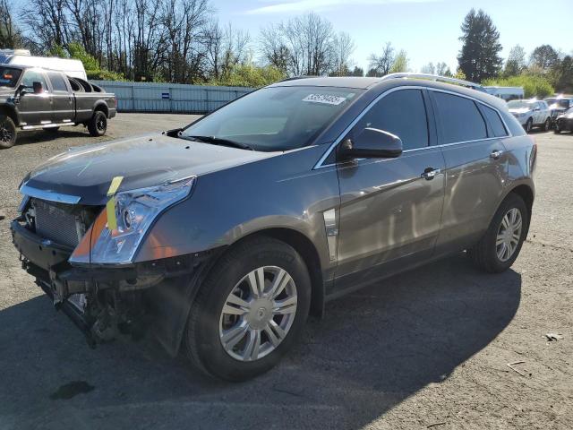 Vin: 3gyfndey1bs648146, lot: 53579465, cadillac srx luxury collection 2011 img_1