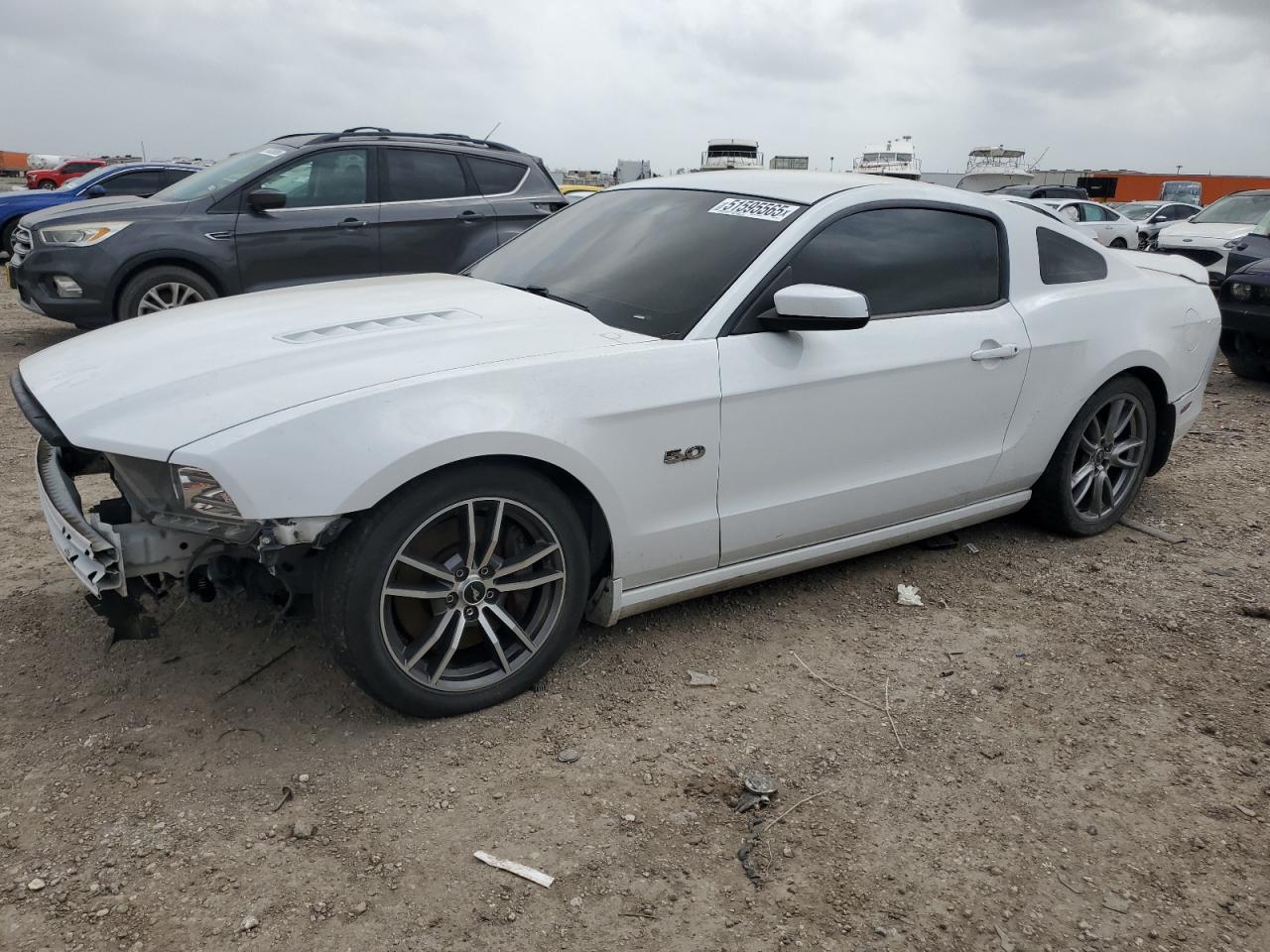 Lot #3187698262 2014 FORD MUSTANG GT