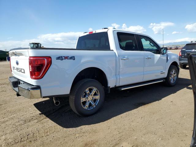 Vin: 1ftfw1ed5pfd28970, lot: 54374115, ford f-150 supercrew 20233