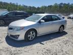 TOYOTA CAMRY L