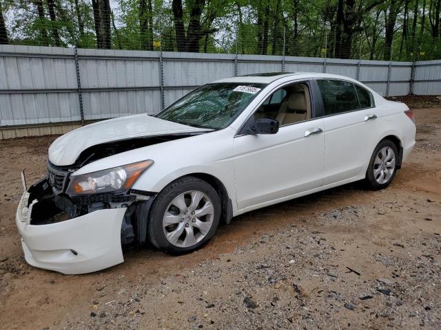 HONDA ACCORD EXL
