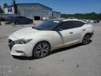 2017 NISSAN MAXIMA 3.5 - 1N4AA6APXHC389858