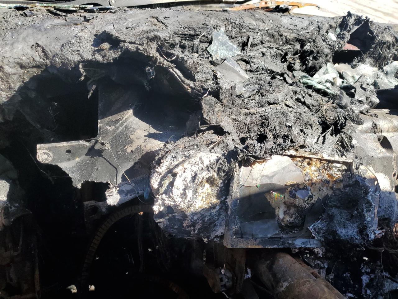 Global Auto Auctions