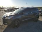 2015 FORD ESCAPE TIT - 1FMCU9J97FUB78651