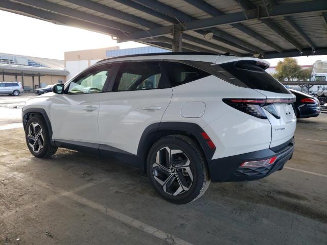 2024 HYUNDAI TUCSON SEL - 5NMJF3DEXRH346001