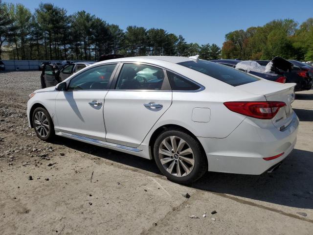 2015 HYUNDAI SONATA SPO 5NPE34AF6FH210637