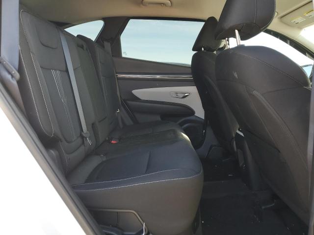 2024 HYUNDAI TUCSON BLU KM8JBCD13RU194897