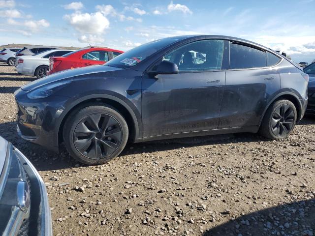 Vin: 7saygaee6sf252755, lot: 53108075, tesla model y 2025 img_1