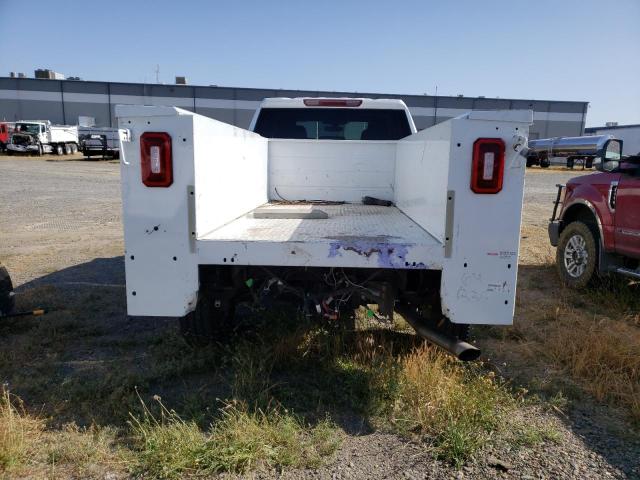 2020 CHEVROLET SILVERADO - 1GB2YLE78LF288431