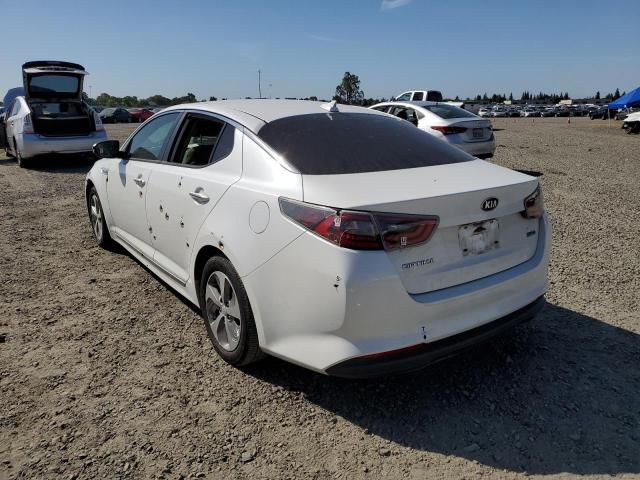 KNAGM4AD7G5093167 KIA OPTIMA HYBRID