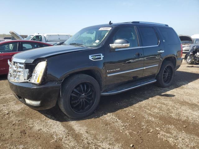 2009 Cadillac Escalade Hybrid 