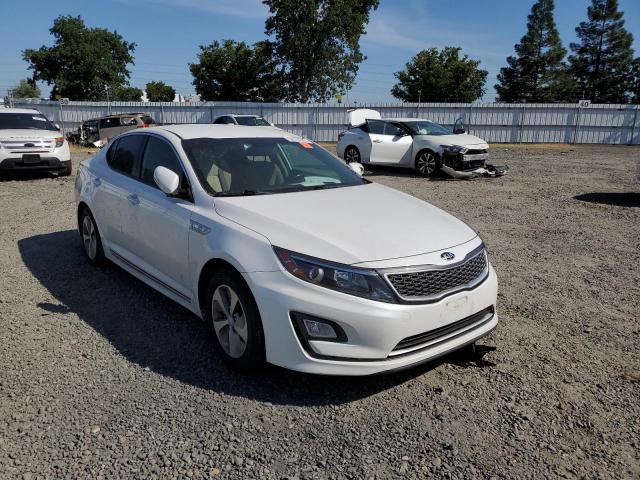 KNAGM4AD7G5093167 KIA OPTIMA HYBRID