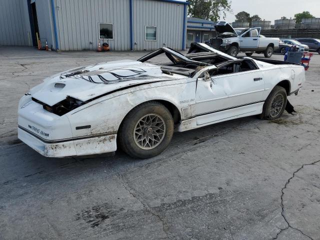 1989 Pontiac Firebird Trans Am