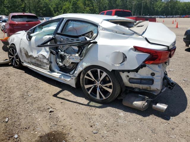 1N4AA6AP3HC440049 Nissan Maxima 3.5s